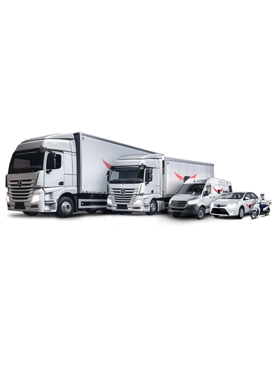 DAGO Express – fleet of trucks for express freight transport in Europe